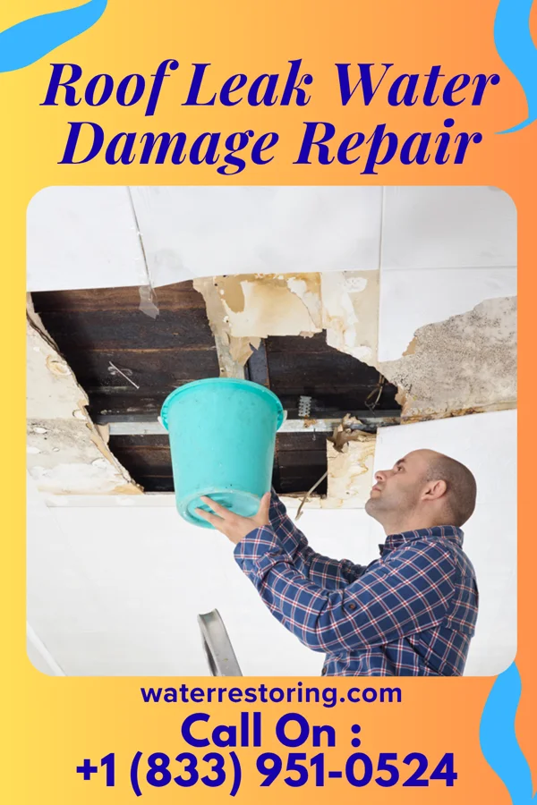 Roof Leak Water Damage Repair in Hinesville, GA