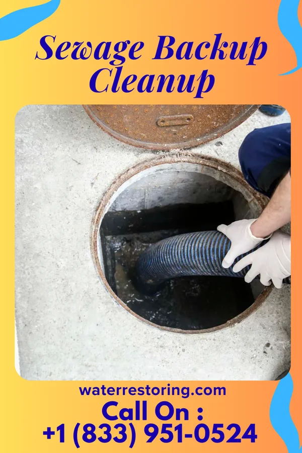 Sewage Backup Cleanup in Hinesville, GA