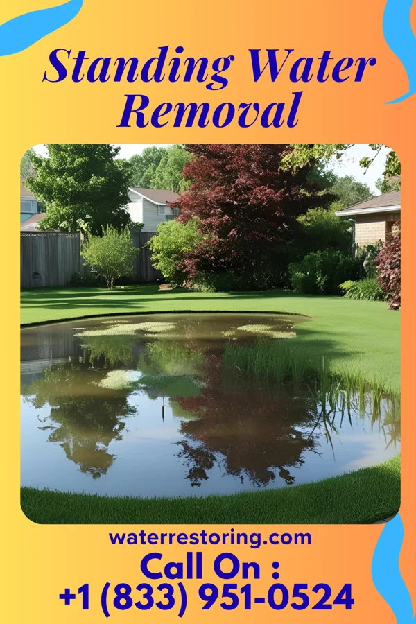 Standing Water Removal in Hinesville, GA